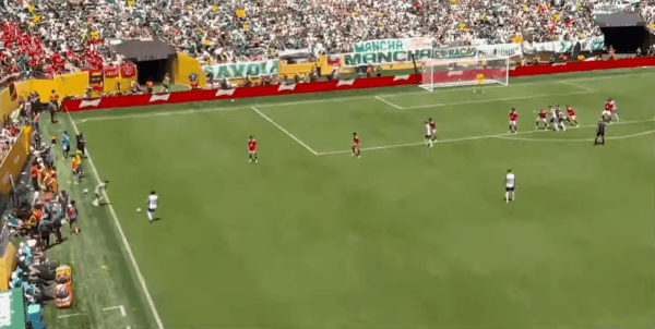 49'阿里乌龙破门! 帕尔梅拉斯 1- 0开罗国民