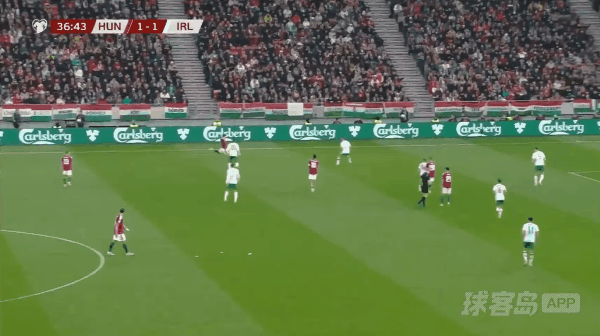 37'瓦尔加破门! 匈牙利 2- 1爱尔兰