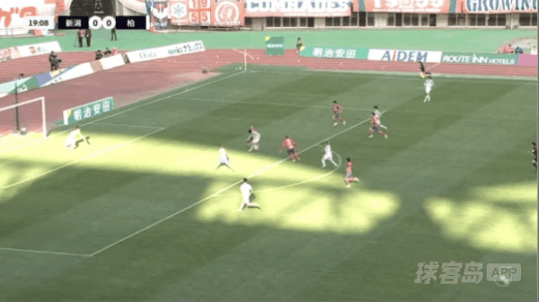 20'细谷真大破门! 新泻天鹅 0- 1柏太阳神