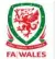 威尔士冠军联赛