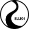 伊尔利迪